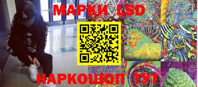 мяу мяу мука Краснознаменск