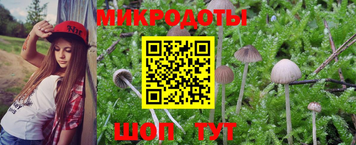 Галлюциногенные грибы прущие грибы  Галлюциногенные грибы MAGIC MUSHROOMS  Вход с VPN  Калач-на-Дону 
